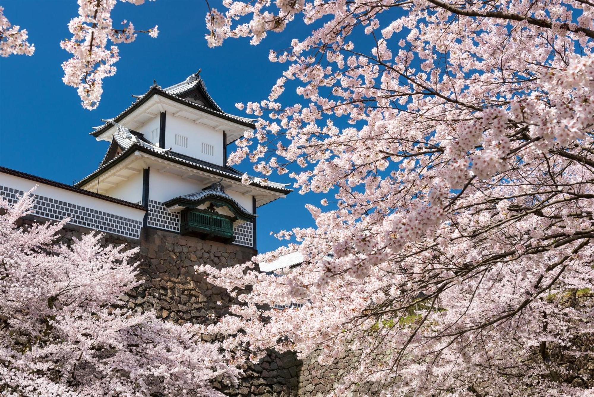 Tokyu Stay Kanazawa Buitenkant foto