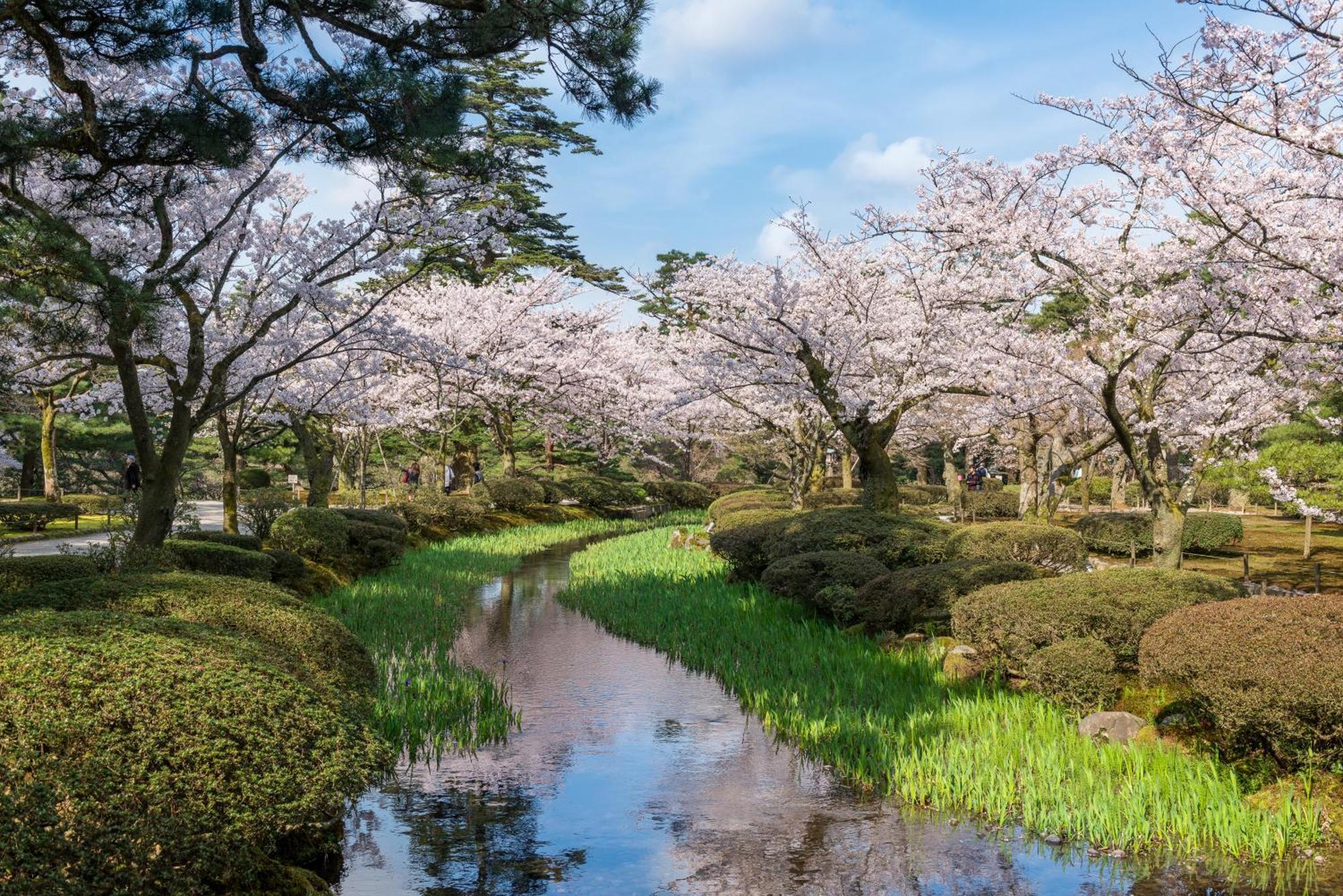Tokyu Stay Kanazawa Buitenkant foto