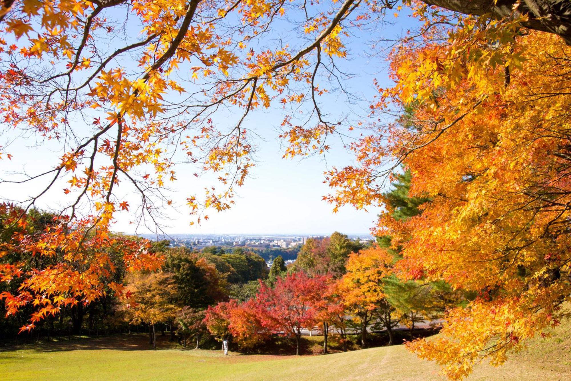 Tokyu Stay Kanazawa Buitenkant foto